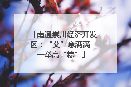 南通崇川经济开发区：“艾”意满满 一举高“粽”